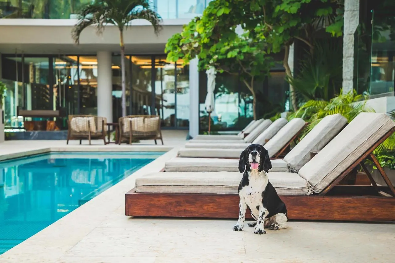 Thompson Playa Del Carmen Beach House, By Hyatt Resort