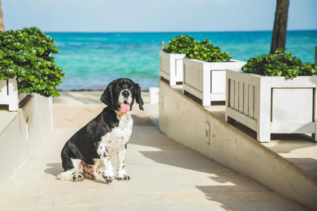 Resort Thompson Playa Del Carmen Beach House, By Hyatt